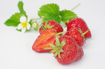 Ripe strawberries with flowers and leaves on a white background
