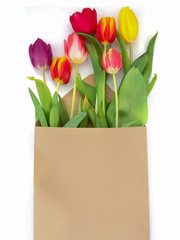 Tulpen im Briefumschlag.