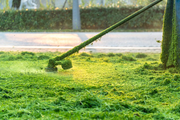 worker working in garden