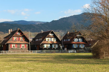 Fototapeta na wymiar Drei Häuser im Schwarzwald
