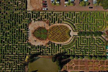 Dole Plantation Oahu