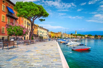 Peel and stick wallpaper Mediterranean Europe Promenade with colorful mediterranean oleander flowers, Toscolano-Maderno, Italy