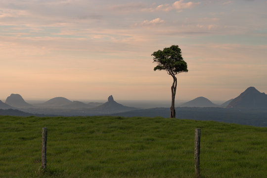 One Tree Hill at Sunrise, Australia