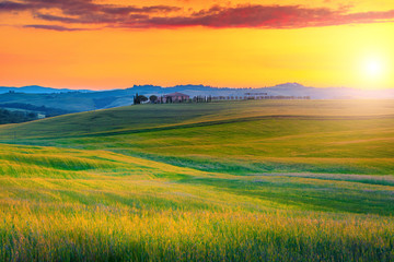 Amazing Tuscany landscape with colorful sunset and grain fields, Italy