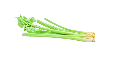 Obraz premium Celery on white background.