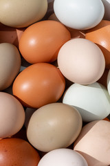 Plain multicoloured free range eggs full frame background