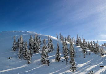 winter view karadeniz artvin savsat