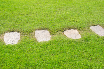 Rock Pathway on green grass.