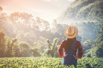 Asian women relax in the holiday. Stand photograph selfie In the Strawberry Farm. Mountain Park happily. In thailand