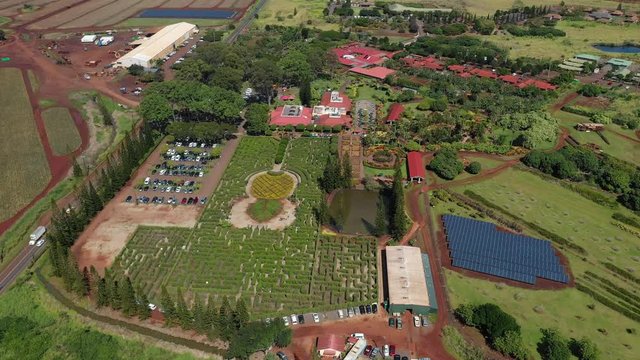 Dole Plantation at Oahu Hawaii