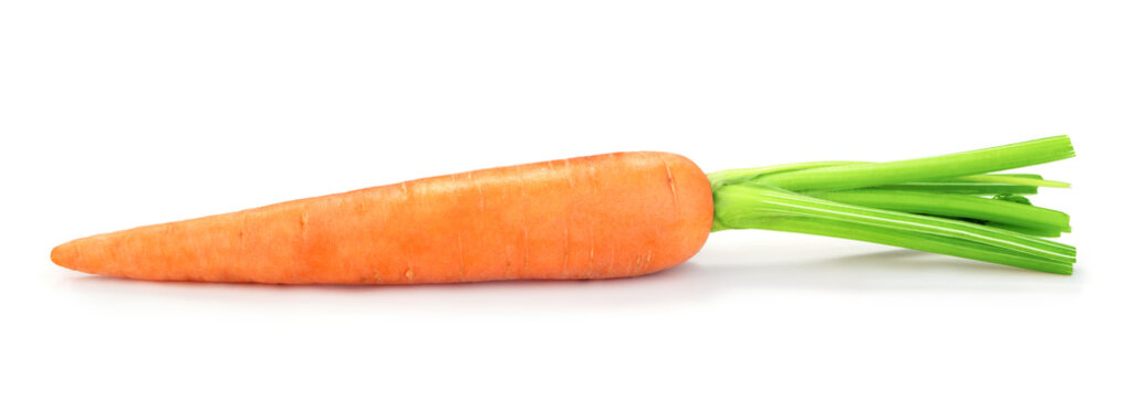 single fresh carrot isolated on white background
