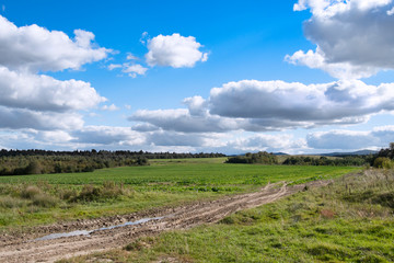 agricultural fields