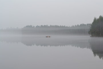 fog over the lake