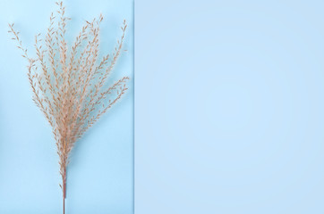 Fototapeta premium Leaves composition. Nature concept background. Flat lay and top view photo