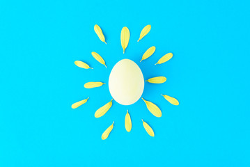 Creative concept made of chicken egg and flower petals like a sun on a blue background