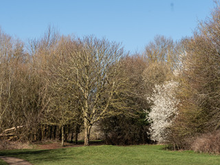 Obraz premium OLYMPUS DIGITAL CAMERA - HAWTHORNE 