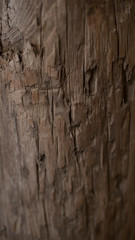 Old Wood Fade Bark and Stripped Down Texture