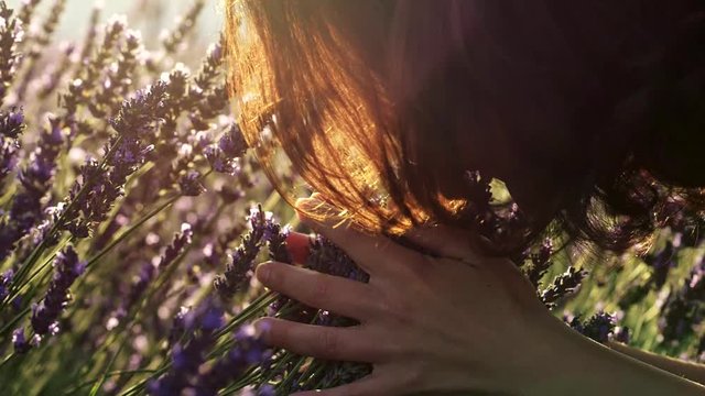 Young woman gently holding lavender flowers in her hands and smelling the purple flowers during a bright sunny day. Slow motion shot 