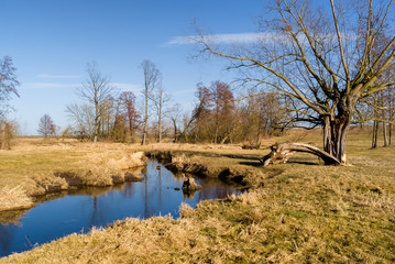  Łomżyński Park Krajobrazowy Doliny Narwi. Wiosna nad Narwią