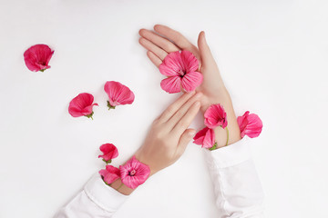 Hand and spring color flower are on table skincare. Nature Cosmetics for hand skin care, a means to reduce wrinkles on hands, moisturizing. Natural cosmetics from flower extract, beauty and fashion