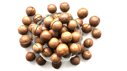 australian  nut