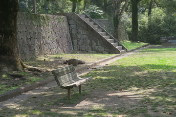 Park in the castle of Japan