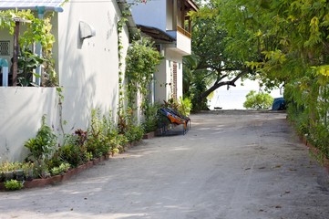 Typical maldivian village (Ari Atoll, Maldives)