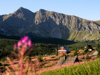 Letnia wycieczka w Tatry © Tomasz
