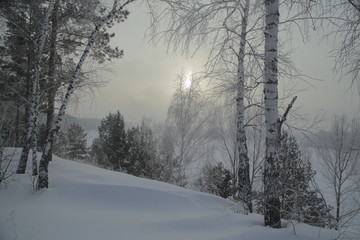 Obraz na płótnie Canvas Winter Forest, Russia, Siberia