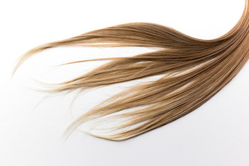 Piece of brown hair on white isolated background