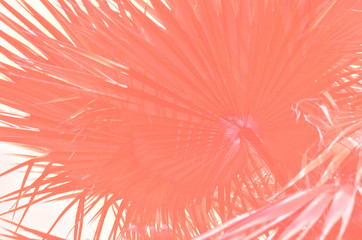 Abstract tropical  leaves pattern. Art stylization - Image