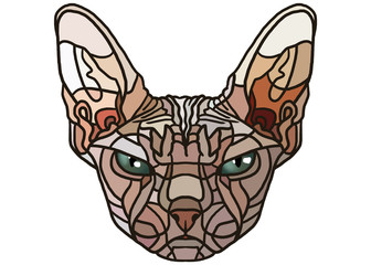 cat head isolated on white