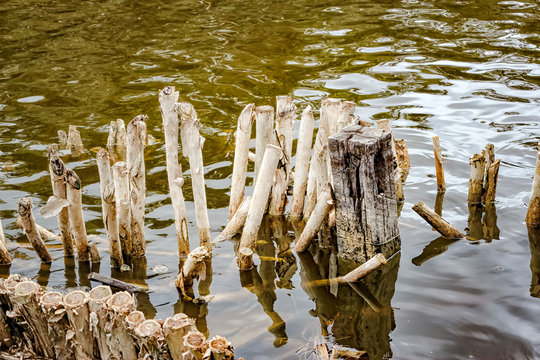 Wooden Dam In Traditional Indian Village Boca De Guama Nature Reserve.