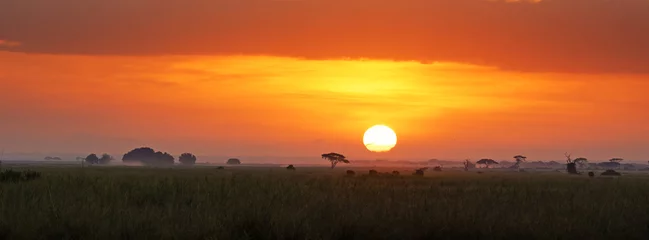 Fotobehang Baksteen Zonsopgang in Amboseli National Park  © Rixie