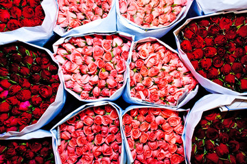 roses offered at the flower market early morning