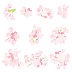 桜の花　パーツセット