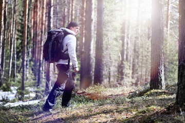 Naklejka na ściany i meble A man is a tourist in a pine forest with a backpack. A hiking trip through the forest. Pine reserve for tourist walks. A young man a hike in the spring.