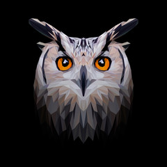 Owl low poly design. Triangle vector illustration. - 252599668
