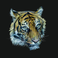 Tiger low poly design. Triangle vector illustration.