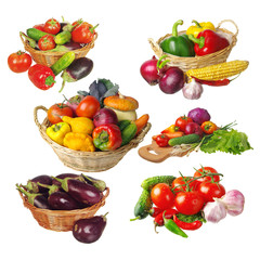Set of vegetables on a white background. Tomatoes, eggplants, pumpkins, cucumbers, cabbage, sweet peppers.