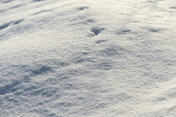 The texture of the snow close up. WInter background