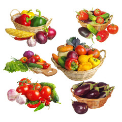 Set of vegetables on a white background. Tomatoes, eggplants, pumpkins, cucumbers, cabbage, sweet peppers.