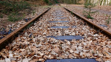 Naklejka premium Alte Eisenbahnschienen führen in die Ferne