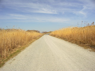 河川敷の砂利道風景