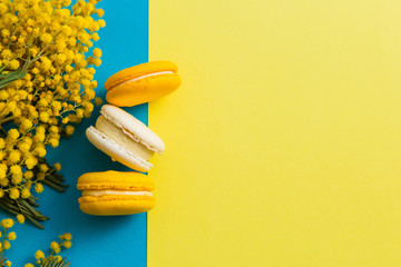 Mimosa and macaroon on a bright background,macarons and Mimosa flowers on a yellow background, flat...