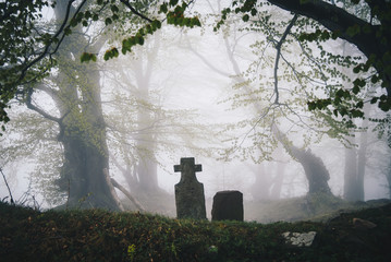 Spooky grave in a foggy forest. Halloween / scary concept