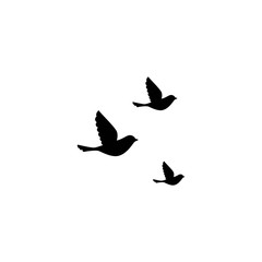 Flying birds isolated on white background. Vector illustration.
