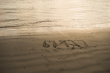 footprints in the sand