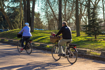 elderly couple cycling in the park with a dog. The dog sits in a basket with a man on a bicycle.