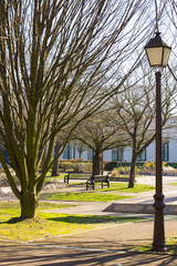 A lamppost with an iron wrought-iron lantern in retro style in the background is an early spring park with trees and benches.